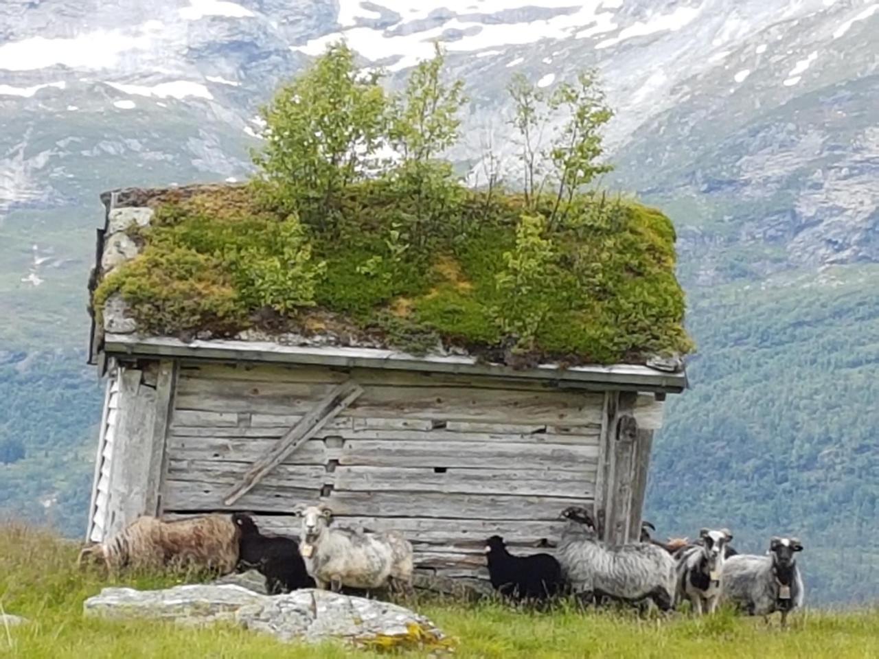 Voss Interlake - Villa Skulestadmo Exteriör bild